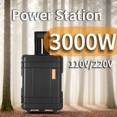 3kW パワーバンク 充電器 内蔵 純正弦波発電所 オーダーメイド