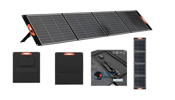 モノ結晶シリコン PV モジュール 100W 200W 300W 政府太陽光パネル