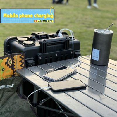 太陽光発電所 5000W 6000W AC 220V 240V 家電用 LiFePO4バッテリー